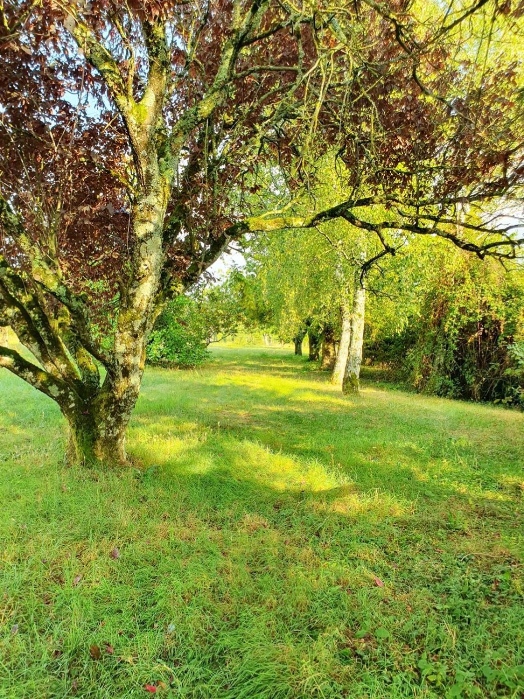 Le Clos Violet Clesse Holiday Home For 6 외부 사진